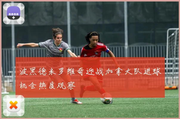 波黑德米罗维奇迎战加拿大队进球机会热度观察