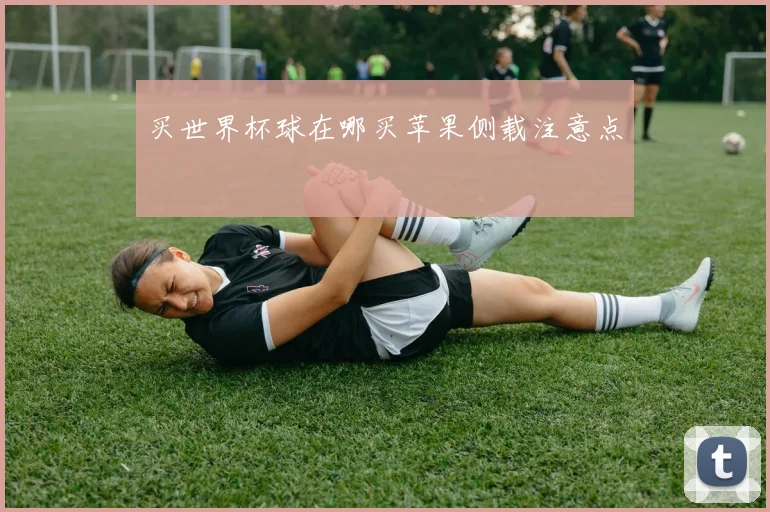 买世界杯球在哪买苹果侧载注意点