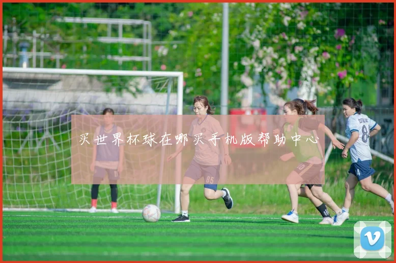 买世界杯球在哪买手机版帮助中心