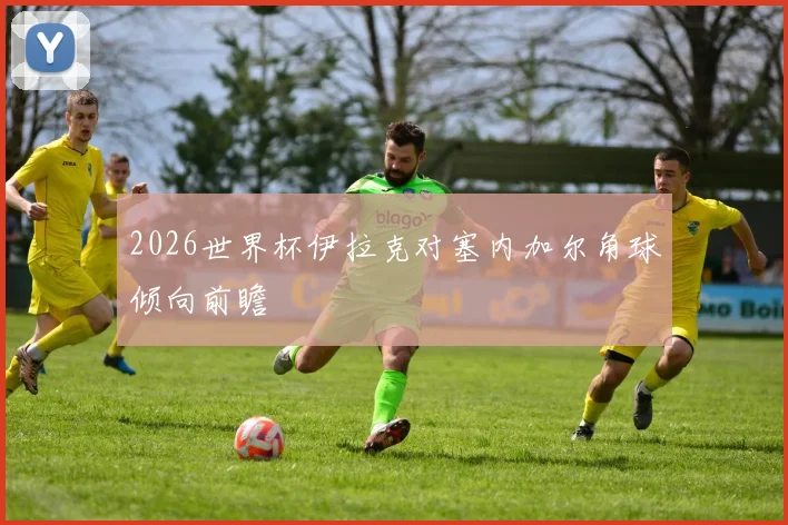 2026世界杯伊拉克对塞内加尔角球倾向前瞻