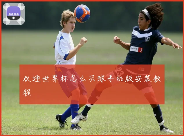 欢迎世界杯怎么买球手机版安装教程