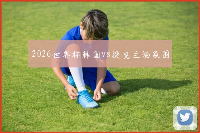 2026世界杯韩国vs捷克主场氛围