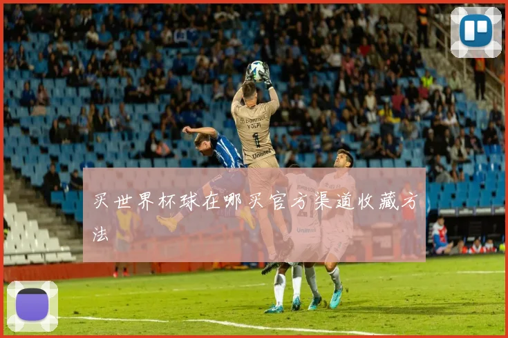 买世界杯球在哪买官方渠道收藏方法