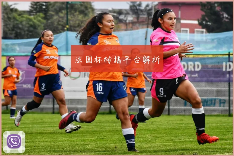 法国杯转播平台解析