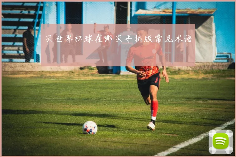 买世界杯球在哪买手机版常见术语